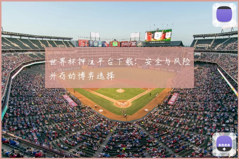 世界杯押注平台下载：安全与风险并存的博弈选择