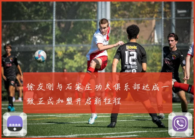 徐友刚与石家庄功夫俱乐部达成一致正式加盟开启新征程