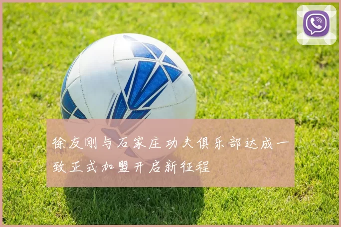 徐友刚与石家庄功夫俱乐部达成一致正式加盟开启新征程