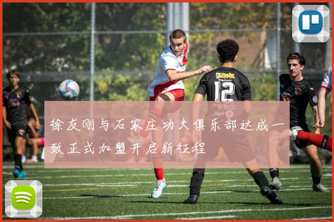 徐友刚与石家庄功夫俱乐部达成一致正式加盟开启新征程