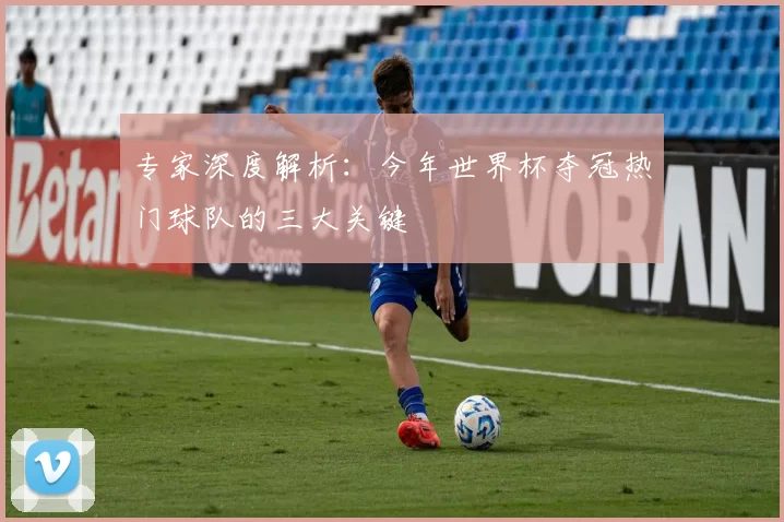 专家深度解析:今年世界杯夺冠热门球队的三大关键