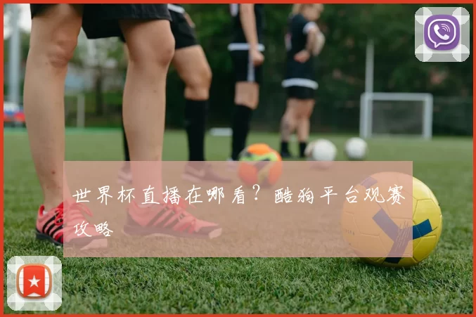 世界杯直播在哪看?酷狗平台观赛攻略