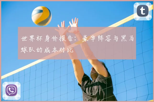 世界杯身价报告：豪华阵容与黑马球队的成本对比