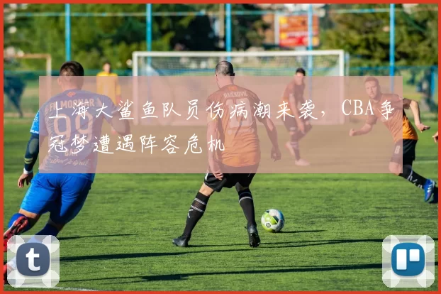 上海大鲨鱼队员伤病潮来袭，CBA争冠梦遭遇阵容危机