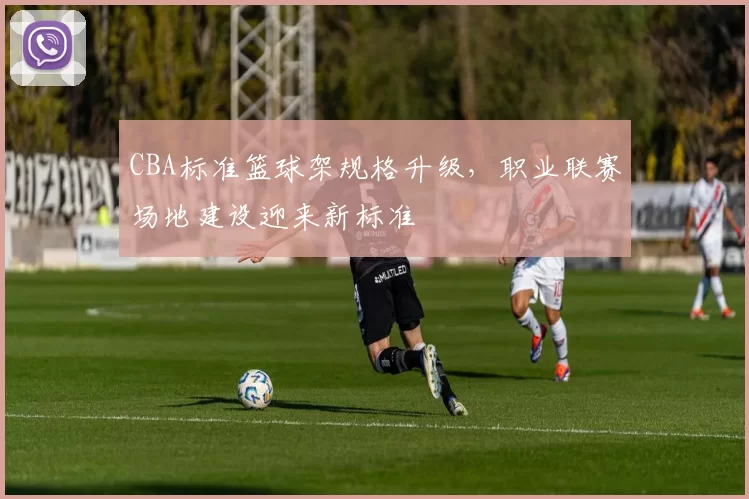 CBA标准篮球架规格升级，职业联赛场地建设迎来新标准