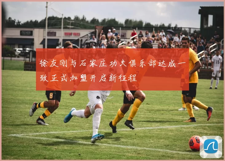 徐友刚与石家庄功夫俱乐部达成一致正式加盟开启新征程