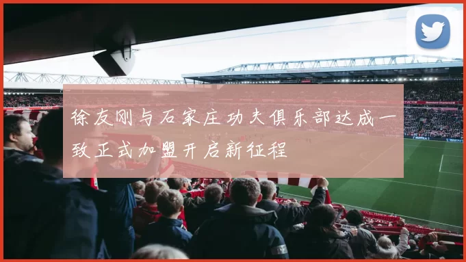 徐友刚与石家庄功夫俱乐部达成一致正式加盟开启新征程