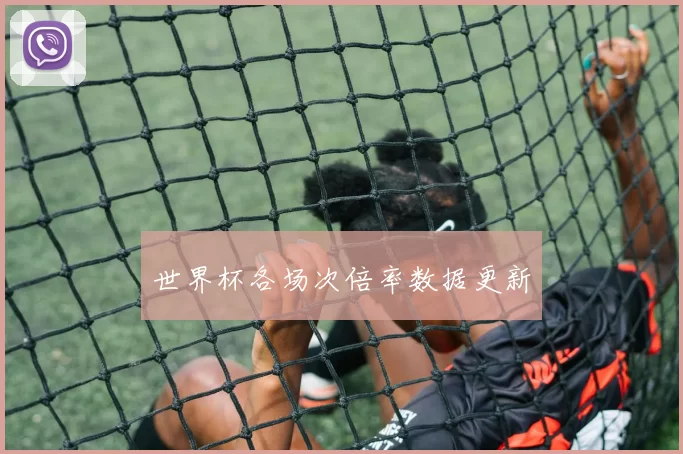 世界杯各场次倍率数据更新