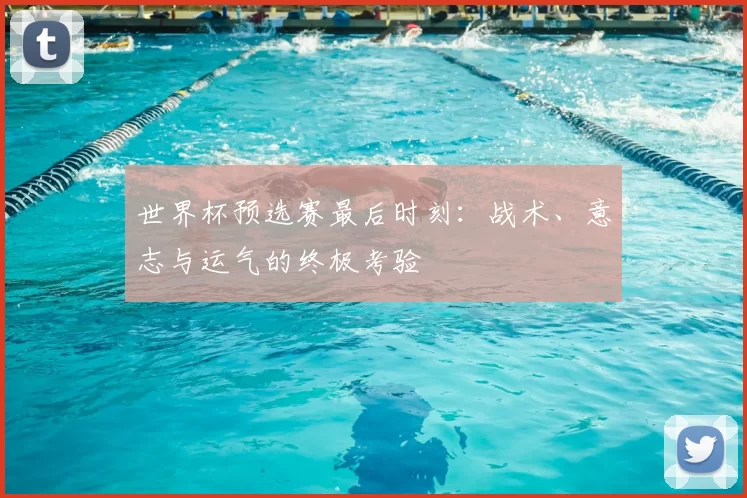 世界杯预选赛最后时刻:战术、意志与运气的终极考验