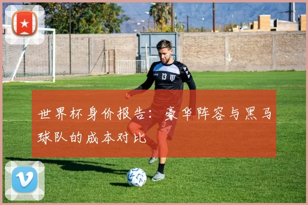 世界杯身价报告:豪华阵容与黑马球队的成本对比