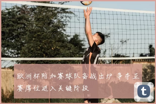 欧洲杯附加赛球队备战出炉 争夺正赛席位进入关键阶段