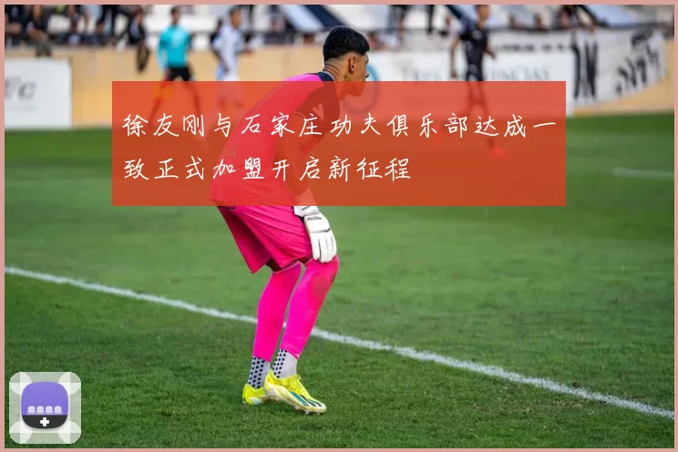 徐友刚与石家庄功夫俱乐部达成一致正式加盟开启新征程